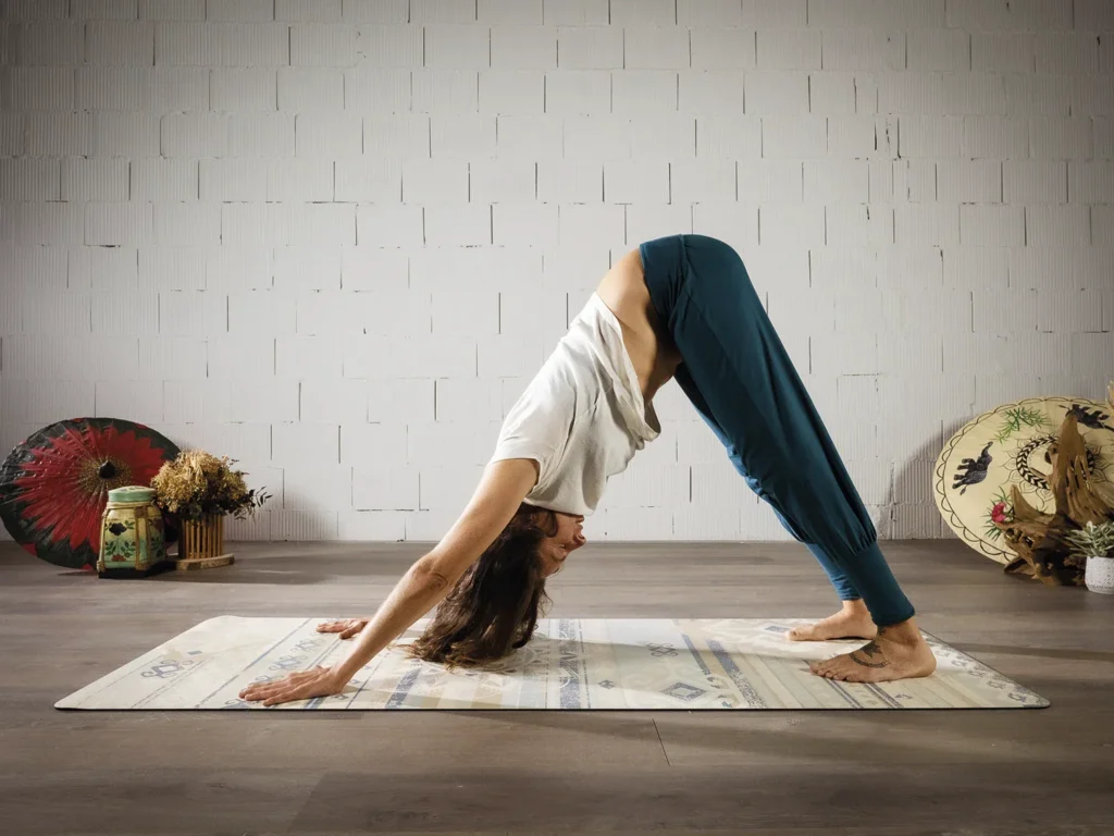 hatha yoga